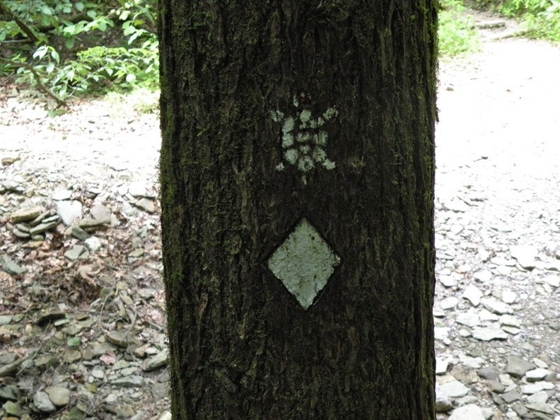 Gladie Creek, Red River Gorge